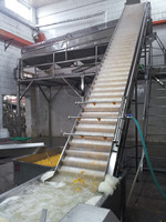 LWT Automatische Fabrieksprijs Productielijn Fruit & Groente Salade Sorteer-, Snij-, Was- en Droogmachine Groentewasser