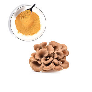 מיובש maitake גבוהה באיכות פטריות מיובשות בתפזורת מכירה מחיר בריא - Product Image 3