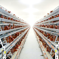 Nouvelle Offre Spéciale : Cage de Poulets Pondeuses de Type A/H pour Élevage Avicole, Cage à Batterie Entièrement Automatique à 3/4 Niveaux pour 96/128/160/200 Poulets, Certifiée ISO9001