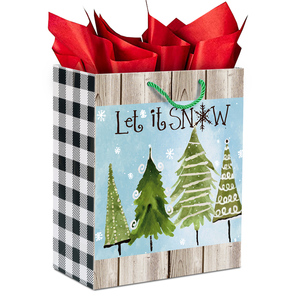 2025 thiết kế mới thân thiện với môi túi giấy xử lý dây Kit số lượng nhỏ đặt hàng cho khác nhau mua sắm sang trọng túi nặng - Product Image 2