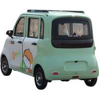 Voiture électrique domestique à basse vitesse, 2 rangées, 4 places, pour adultes, mini-voiture électrique 800W, 30-40KM/H, véhicule électrique