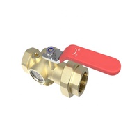 Test forgé en laiton et vanne de vidange pour système de bouche d'incendie avec verre de vue modèle économique BJ51001C