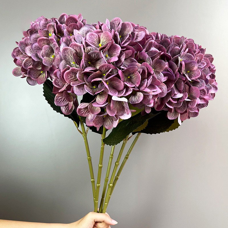 autunno rosa viola