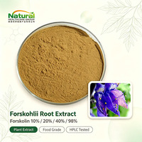 Extrait de Coleus Forskohlii 10% 20% Forskolin, Poudre d'extrait de racine de Coleus, Plectranthus Barbatus, Coleus Indien, Approvisionnement direct usine