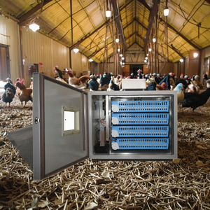 Mini incubateur automatique <span class=keywords><strong>d</strong></span>'œufs avec un taux <span class=keywords><strong>d</strong></span>'éclosion de 95% - Nouvelle version à double tension pour œufs <span class=keywords><strong>d</strong></span>'<span class=keywords><strong>oiseaux</strong></span> (poulet, oie, canard, émeu, autruche, reptile) - Product Image 5