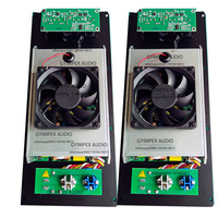 Module d'amplificateur de subwoofer actif monocanal de classe D 600 W 8 ohms 900 W 4 ohms haute puissance pour haut-parleur amplifié