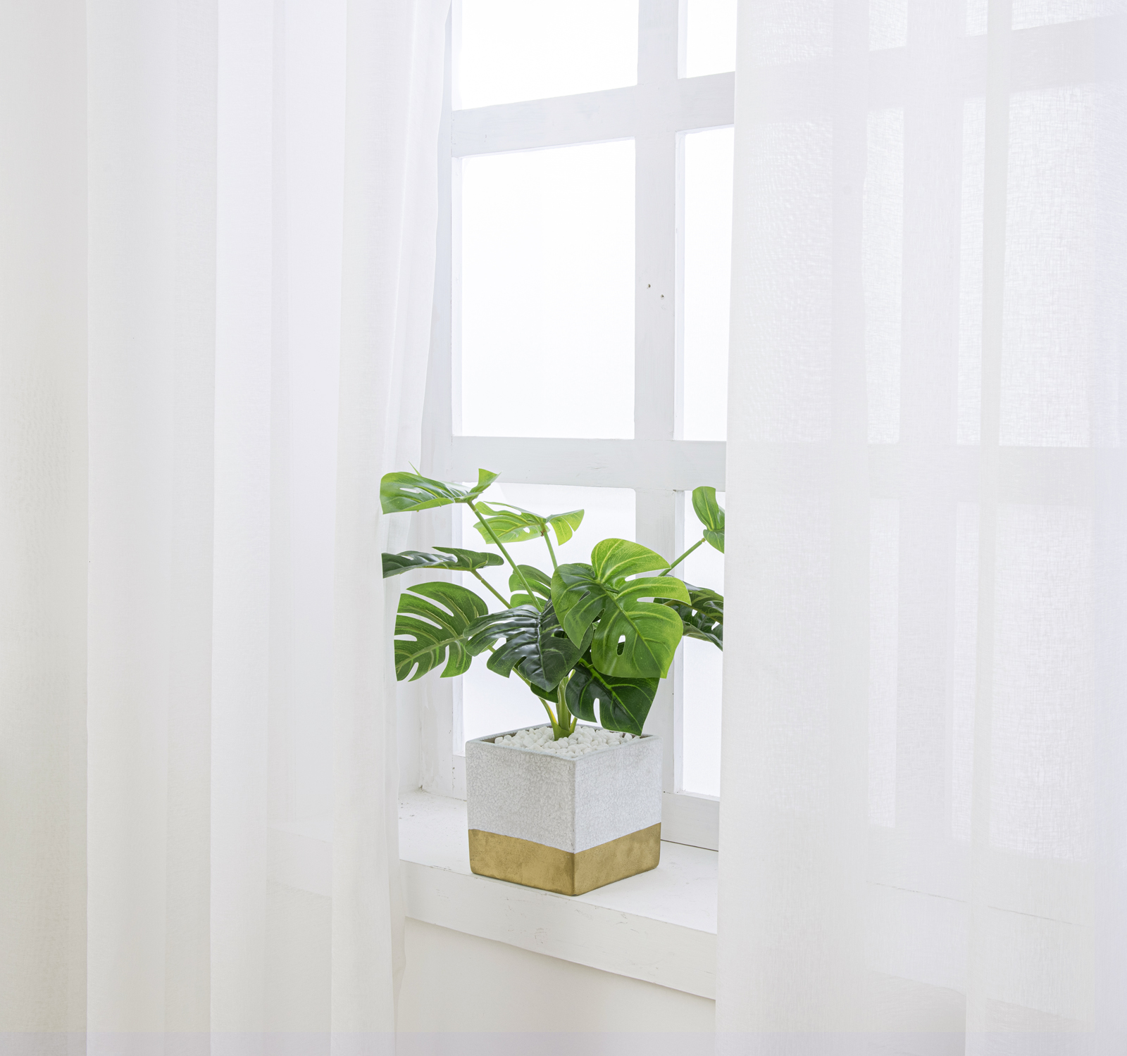 แสงสีขาว