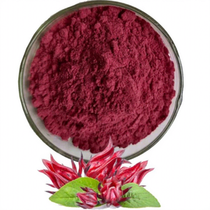 Polvo de Flor de Rosella Molido Fino, Venta al por Mayor, Ingrediente Floral Natural para Té, Smoothies, Jugos, Repostería y Recetas - Product Image 1