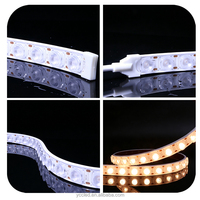 Bande LED flexible étanche IP68 pour extérieur, température de couleur personnalisable, 24W/M, 5M/Rouleau, éclairage paysager économe en énergie