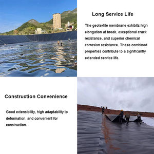 Geomembrana de HDPE de 45 mil, doble capa lisa, para estanques hidropónicos y digestores de biogás - Product Image 6