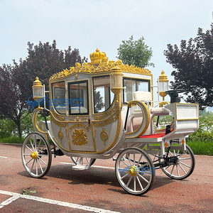 Meilleures ventes : Limousine de luxe économique haut de gamme, voiturette royale électrique de tourisme à chevaux, prix d'usine - Product Image 3