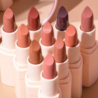 Vente en gros de rouge à lèvres en forme de balle, tube de 14 couleurs, halal, marque privée, végan, noir mat, rouge à lèvres tendance pour femmes et filles