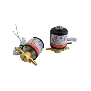 Válvula Solenoide Eléctrica Duradera VZ/2.2 DC24V 0/0.8MPa con Cuerpo de Latón, Válvula Magnética para Control de Agua, Gas y Aceite, Repuesto - Product Image 1