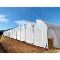 Serres commerciales Gutter Connect, serres personnalisées en Chine pour la plantation, serres agricoles