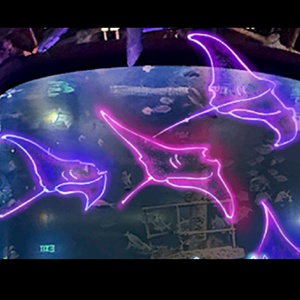 Luz Decorativa 3D Personalizada con Motivo de Timón, Apta <span class=keywords><strong>para</strong></span> Interiores y Exteriores, <span class=keywords><strong>para</strong></span> Decoraciones Navideñas en Parques de Atracciones, Zoológicos y Centros Comerciales - Product Image 4