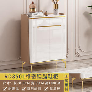 Internet célébrité lumière luxe armoire à chaussures moderne Simple maison porte 2023 nouveau Style populaire mur d'entrée - Product Image 6