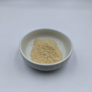 High Quality Korean Red Ginseng Root Extract Powder Ginsenosides Ginseng Extract Powder for Skin Care Healthy Food - Product Image 2