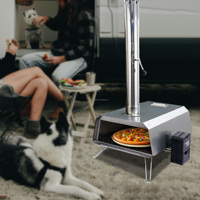 Four à pizza portable de haute qualité en acier inoxydable argenté, à granulés de bois, pour le camping en plein air, style moderne, finition thermolaquée