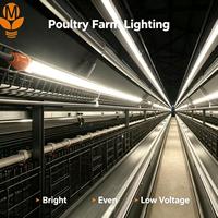 Tube lumineux LED pour volailles 48V DC IP67 étanche sans scintillement, intensité variable, IRC>83, longue durée de vie, luminaire linéaire pour poulailler