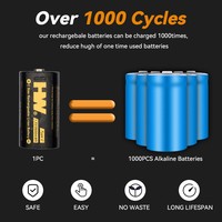 Baterai Lithium Li-ion Isi Ulang Ukuran C Grosir 1.5V 5600mWh dengan Port USB-C 1000 Siklus