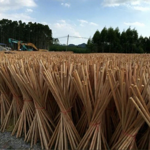 Eucalyptus Wood for Wooden Broom Handles Home Toilet Use 120cm Eco-Friendly Bulk Supply No Screw Low Price 48-50 Pieces Per - Product Image 3