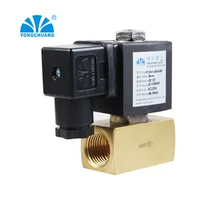 Yongchuang YCH41 Brass 12v 24v Dc High Pressure Solenoid Valve 40 Bar 150 Bar For Steam Air Water