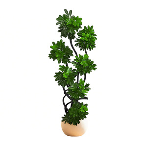 Duckfoot <b>Tree</b> Large Indoor Plant Pot <b>For</b> Living Room Home Decoration Minimalist Style Concrete <b>Planter</b> - Product Image 3