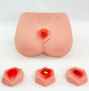 Cuidado Presión Dolor Úlcera Cuidado Modelo de enfermería para personas mayores Decubitus Dan Care - Product Image 3