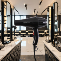 Salon professionnel 2200W moteur électrique à courant alternatif sèche-cheveux ionique buse de concentrateur de diffuseur à 3 vitesses pour usage extérieur d'hôtel de ménage