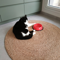 Gamelle pour animaux de compagnie en plastique écologique fabriquée en Italie pour chiens, chats, lapins et autres animaux - Utilisation en extérieur