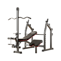 Système intégré polyvalent de support d'haltères et de banc de musculation robuste pour des exercices complets de musculation et de renforcement musculaire