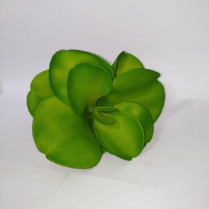 decorativo interesante de gran tamaño <span class=keywords><strong>rosa</strong></span> del desierto artificial plantas suculentas unpotted para Navidad decoración - Product Image 2