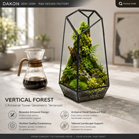 Terrarium en verre artisanal de 10,2 pouces, pot géométrique avec cadre en laiton, décoration d'hôtel, vente en gros, prêt pour l'audit OEM