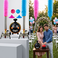 Lanceur de confettis TNT sûr et fiable pour révélation du sexe, lanceur de poudre colorée pour mariage et spectacle sur scène