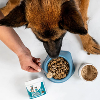Usine de compléments alimentaires pour animaux OEM ODM – Poudre nettoyante pour dents d'animaux de compagnie – Soin dentaire pour chiens – Meilleur éliminateur de plaque dentaire pour chiens de toutes races