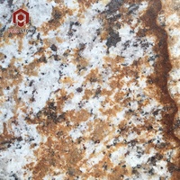 PAIA STONE Verniz Tropical Granite Dalle de pierre naturelle polie, flammée, fendue, affinée, brossée, sablée, design moderne pour hôtel