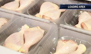 เครื่องบรรจุเนื้อวัวอัตโนมัติ, เครื่องจักรสำหรับบรรจุเนื้อสัตว์และชีส, เครื่องบรรจุภัณฑ์แบบเทอร์โมฟอร์มสำหรับอาหาร เนื้อสัตว์ และสัตว์ปี<span class=keywords><strong>ก</strong></span> ระบบ MAP - Product Image 6