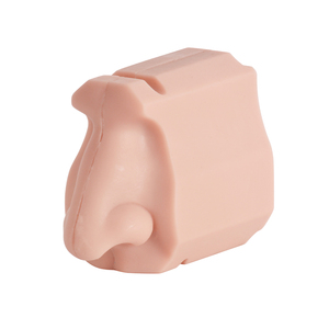 Silicone Anatomical Model for Medical School Training <strong>Nasal</strong> Exam Manikin <strong>Skeleton</strong> Model in Medical Science - Product Image 4
