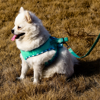 Harnais pour chien en acier inoxydable et nylon personnalisé, vente en gros d'usine, avec sangle réfléchissante pour la marche et la randonnée