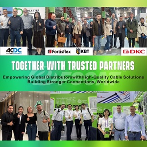 روابط كابلات FSCAT بألوان مخصصة 2.5 مم 3.6 مم 4.8 مم 7.6 مم من النايلون 66 ذاتية القفل لتنظيم الأسلاك البلاستيكية للتعريف - Product Image 5