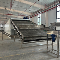 Goede professionele dehydrator voor het drogen van groenten, kruiden en groene groenten, inclusief moringa bladeren. Premium kwaliteit.