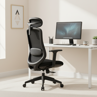 Chaise de bureau ergonomique en tissu maillé de luxe, cadre en aluminium, hauteur réglable, pivotante, design traditionnel pour l'école, l'atelier
