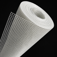 Bâche en maille PVC enduite imperméable transparente enroulable pour la protection de la construction