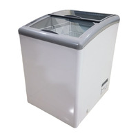 Congélateur de laboratoire à coffre à température unique de 188 L, 2 portes, refroidissement direct, petit réfrigérateur à crème glacée Snowsea