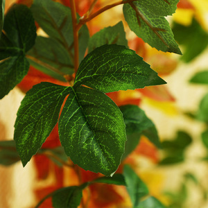 พลาสติกหวายเทียมใบเมเปิ้ลจำลองสูงตกแต่งในร่มกลางแจ้ง - Product Image 3