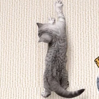 Tapis à gratter pour chat, autocollant mural 3D, griffoir en feutre polyester, gadget pour chat, résistant à l'usure, sans perte de fibres, protection du canapé