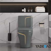 Vente en gros Commode en céramique de luxe Cuvette de toilette couleur gris or Toilette monobloc en céramique WC couleur grise Toilette de couleur grise