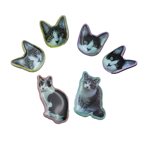 เข็มกลัดรูปสัตว์น่ารัก โฮโลแกรม น้ำหนักเบา ลายแมว ลูกสุนัข สัตว์ต่างๆ สำหรับติดปกเสื้อ ของที่ระลึกจากสวนสัตว์และสวนสนุก - Product Image 1
