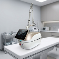 Machine PicoSecond Portable à Succès Commercial 532nm 785nm 1064nm Équipement Réfrigération Air+Eau+Semiconducteur avec CE OEM