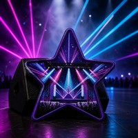 Écussons brodés personnalisés à thermocoller, motif étoile, scène de concert, lasers, étincelles laser de foule, pour la musique et les concerts